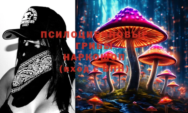 прущие крисы Бородино