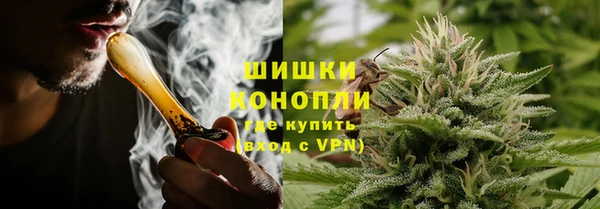 прущие крисы Бородино