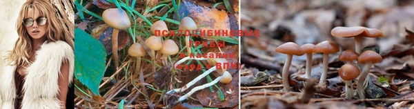дистиллят марихуана Бугульма
