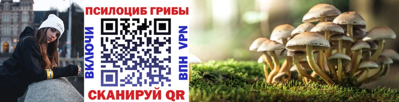 Галлюциногенные грибы Magic Shrooms  Дербент 